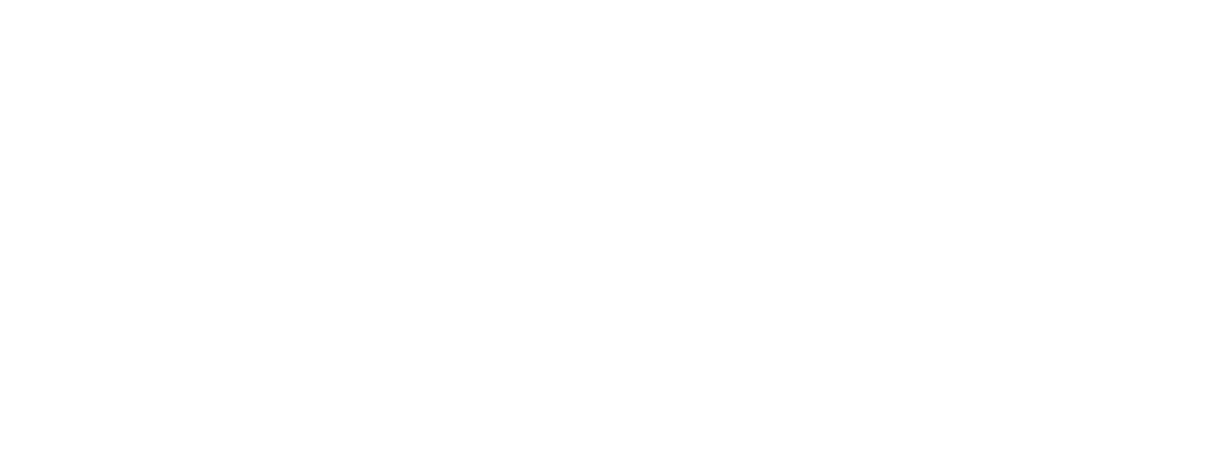 Next Level Camp NLC